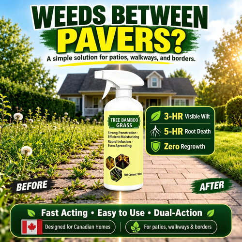🔥2026 SALE - Fast-Acting Natural Weed & Grass Killer Spray